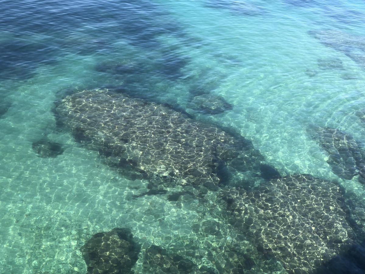 סירקוזה B&B Ortigia Sea View מראה חיצוני תמונה